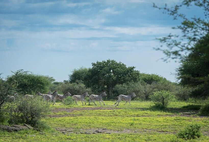هتل Leopard Plains