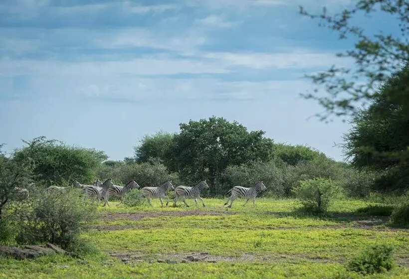 هتل Leopard Plains
