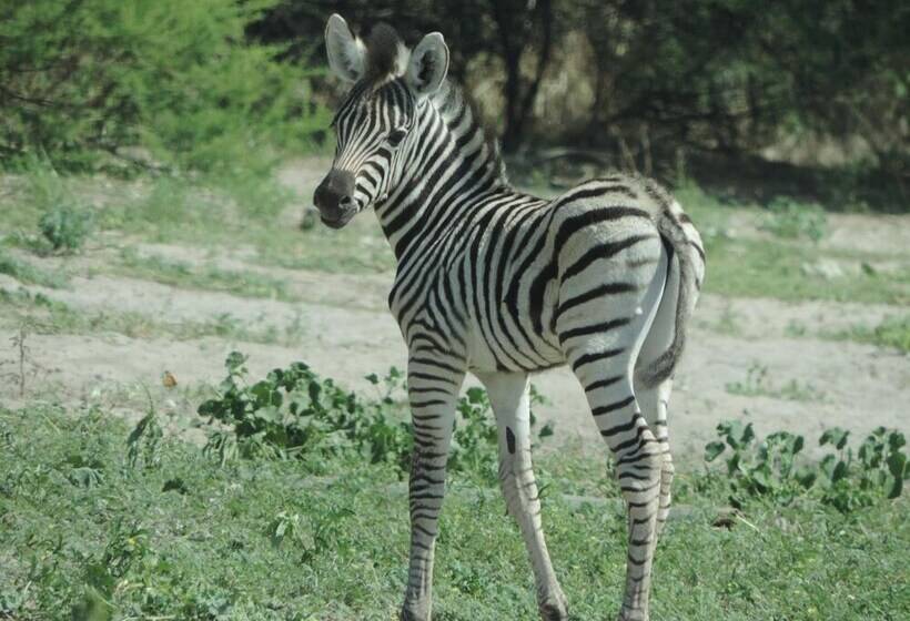 هتل Leopard Plains