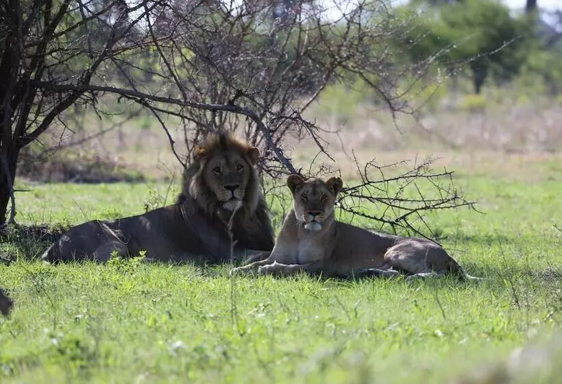 هتل Leopard Plains