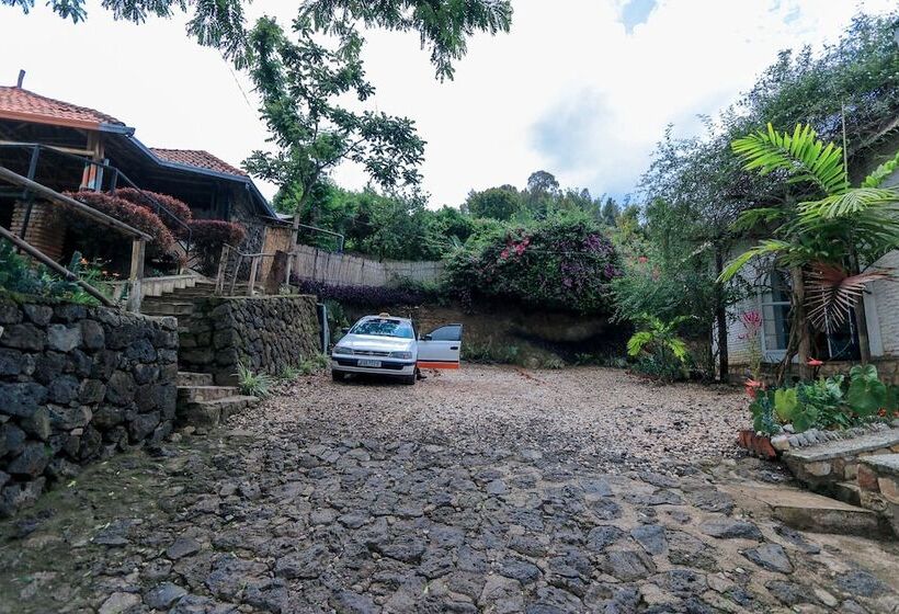 هتل Palm Garden Lodge