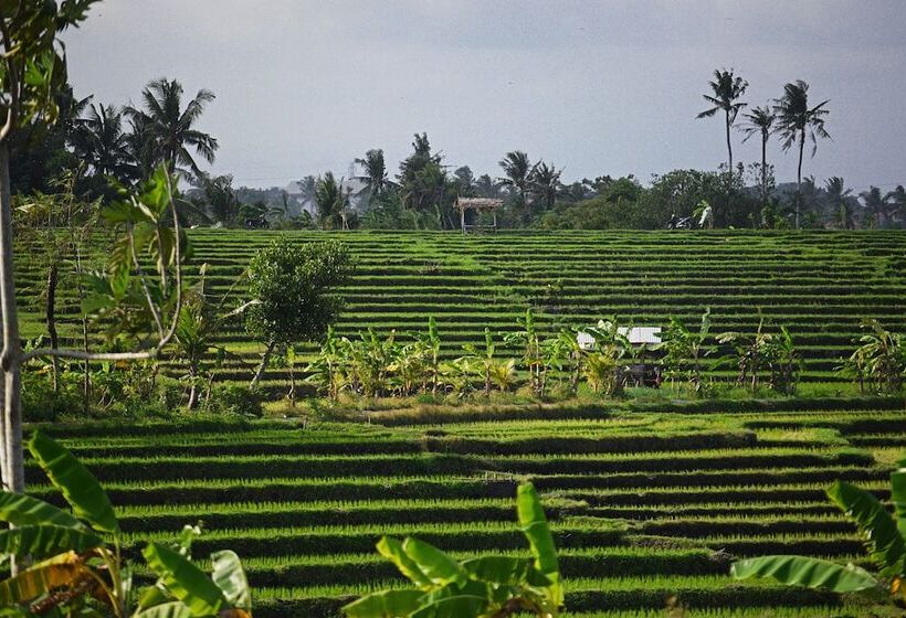 酒店 Six Senses Uluwatu