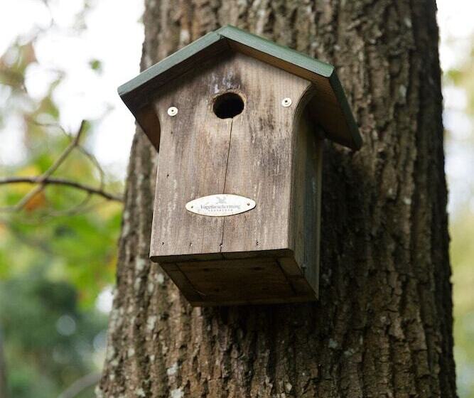 בית מלון כפרי Vrijrijck Vakantieparken – Ermelo