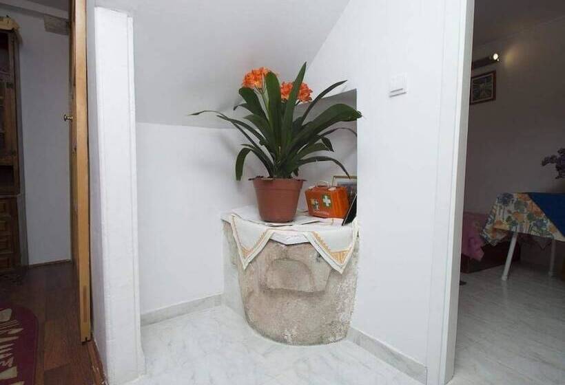 بنسيون Guest House Jeljenic