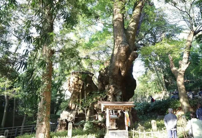 ریوکان Atami Kinomiyanoyu Shogetsu