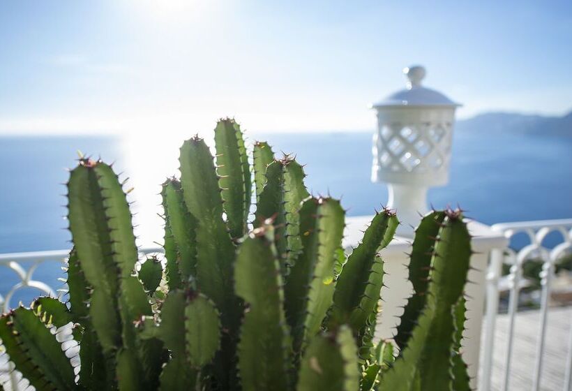 مبيت وإفطار La Barbera