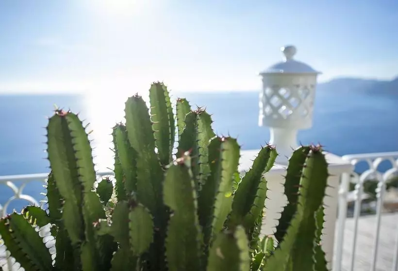 Aamiaismajoitus (B&B) La Barbera