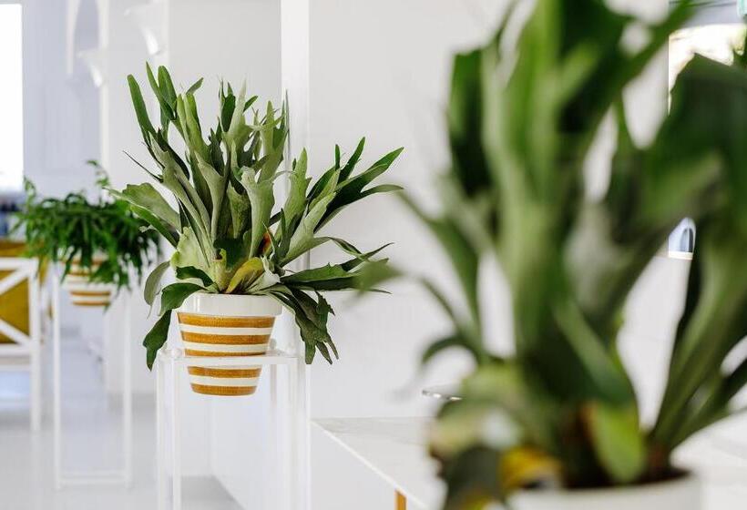 פונדק Domo 20 Hotel & Rooftop