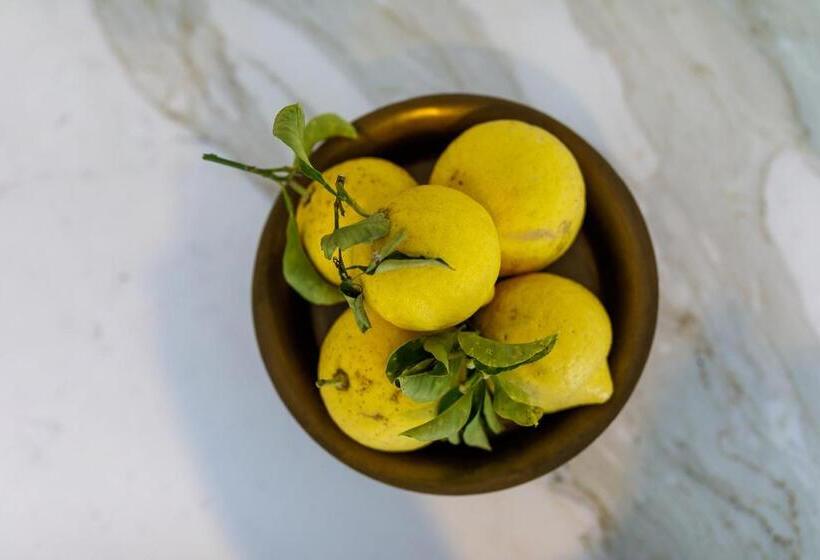 פונדק Domo 20 Hotel & Rooftop