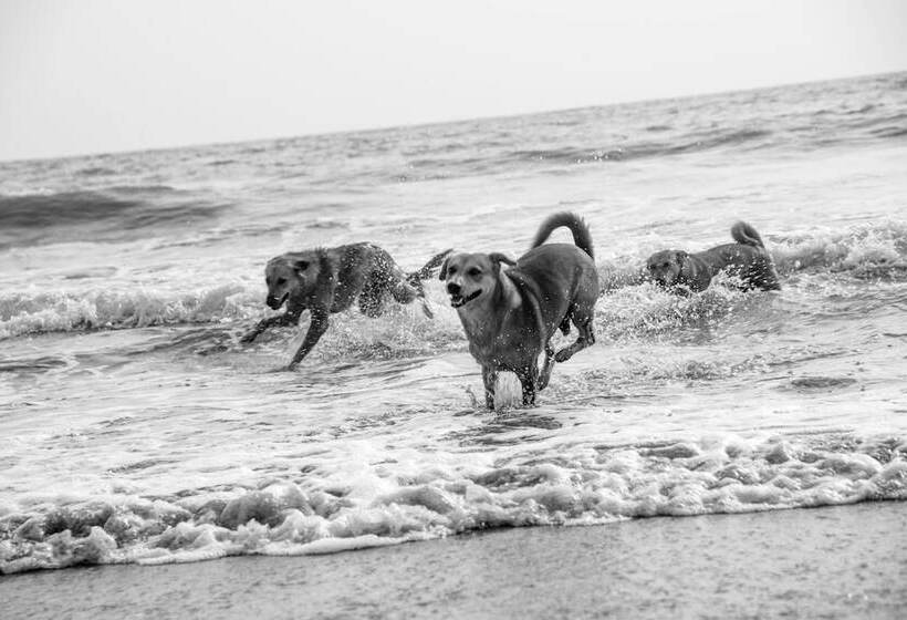 Hotel The Noname Guesthouse