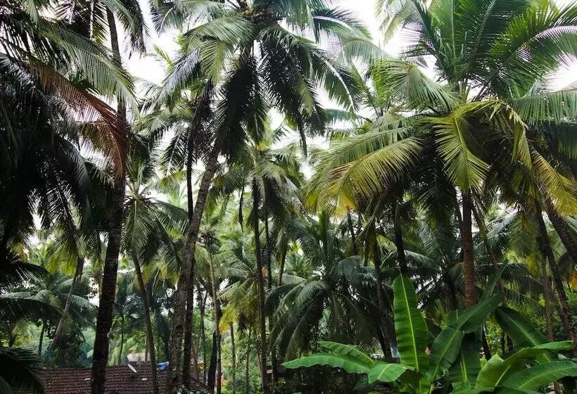 Majatalo Hilia S Retreat