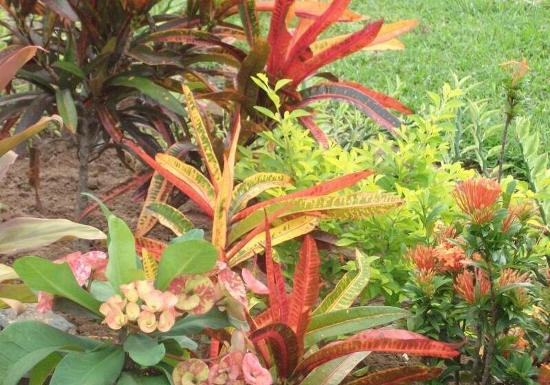 膳宿费 Indah Homestay And Cooking Classes