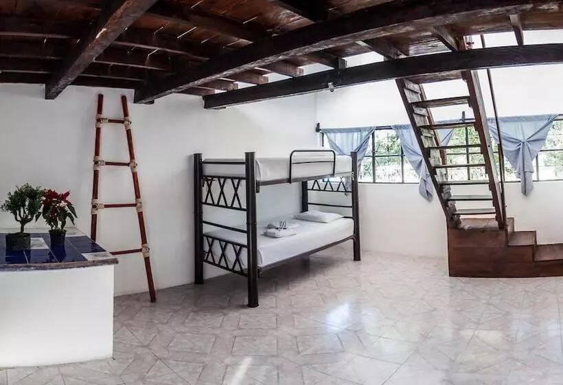 Hostel Babel