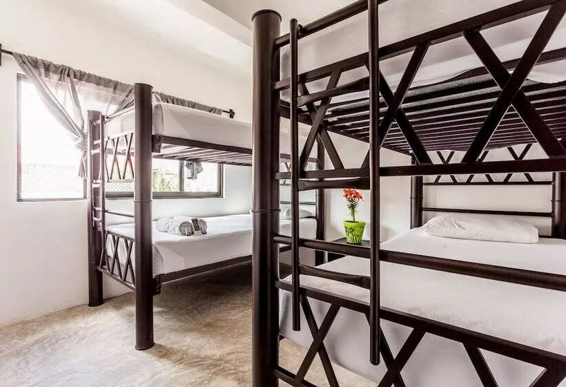 Hostel Babel
