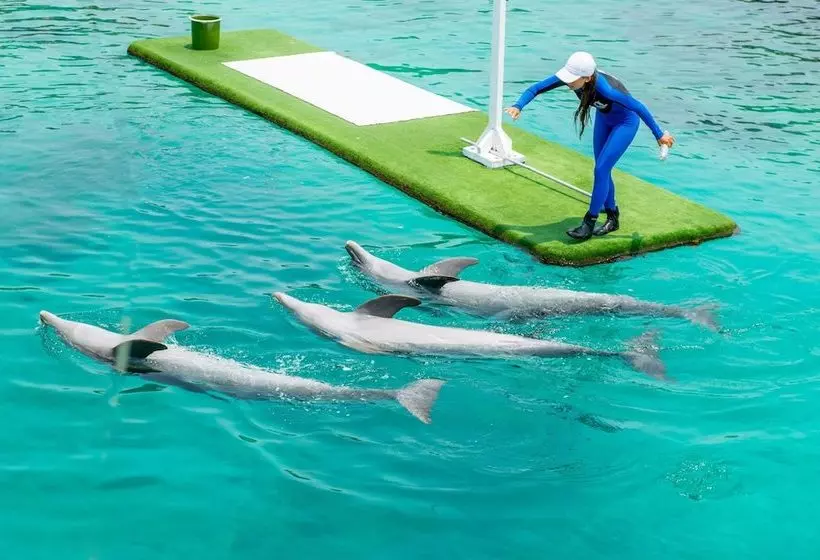 Hotelli Isla Lizamar