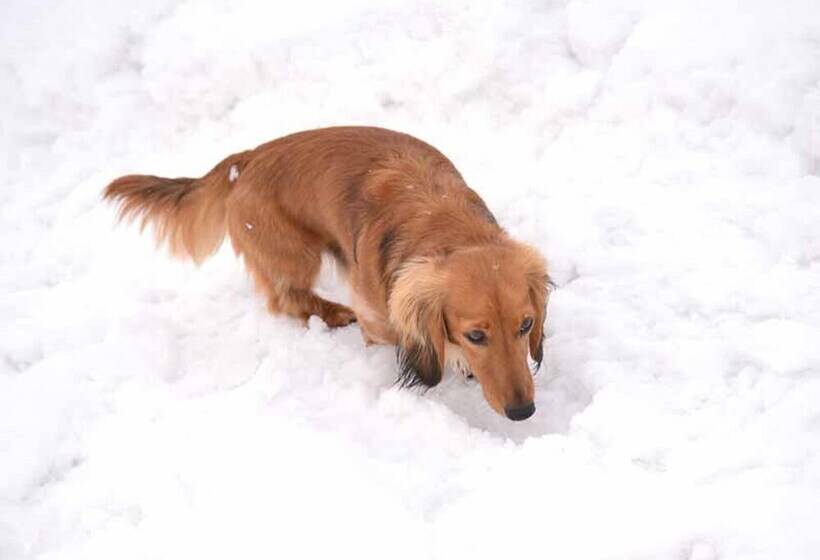 Отель Lodge B&w