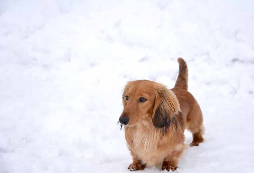 Отель Lodge B&w