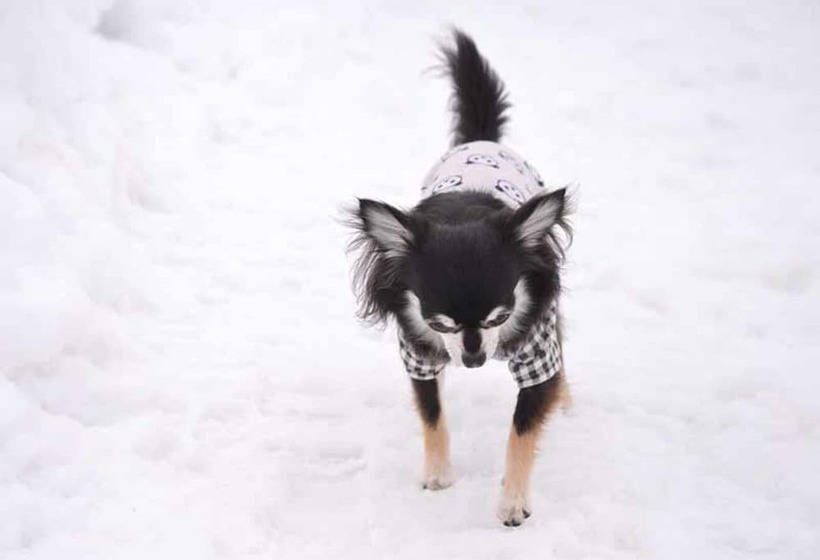 Отель Lodge B&w