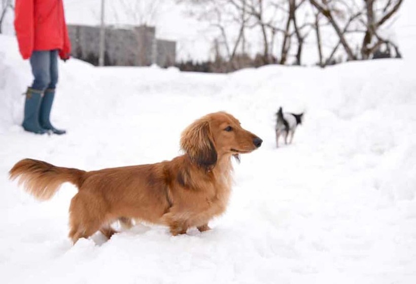 Отель Lodge B&w