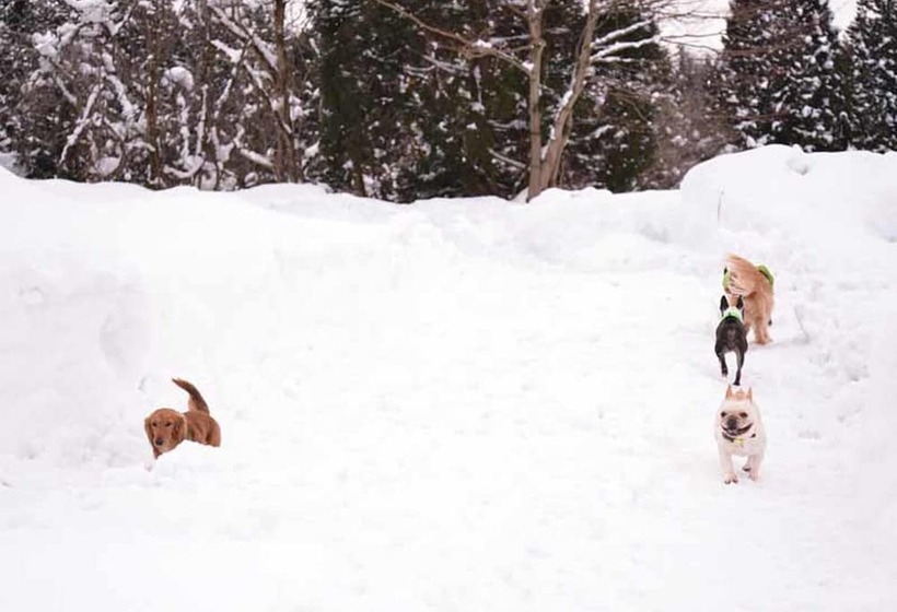Отель Lodge B&w