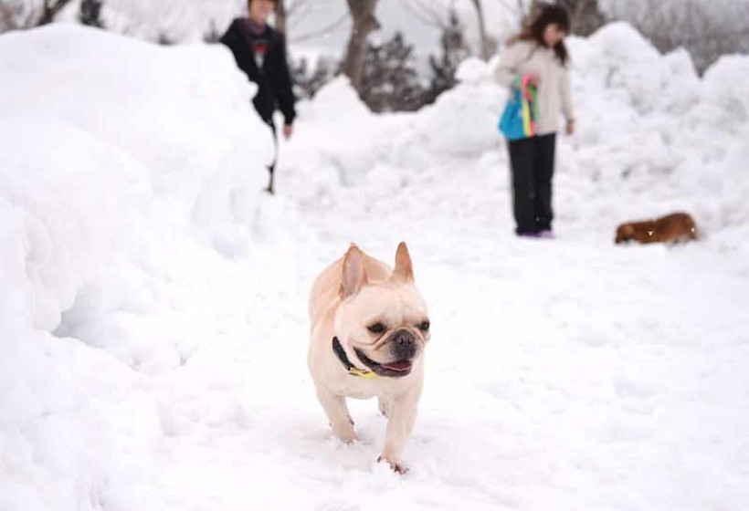 Отель Lodge B&w