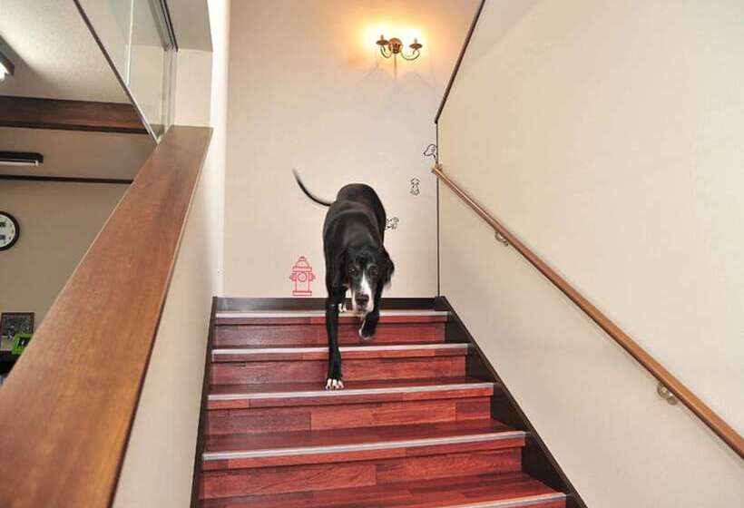 Отель Lodge B&w