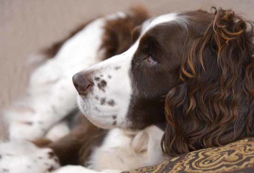 Отель Lodge B&w