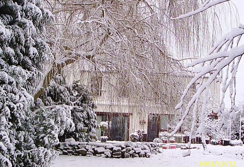 ペンション Le Chateau De Frankie Spas Saunas