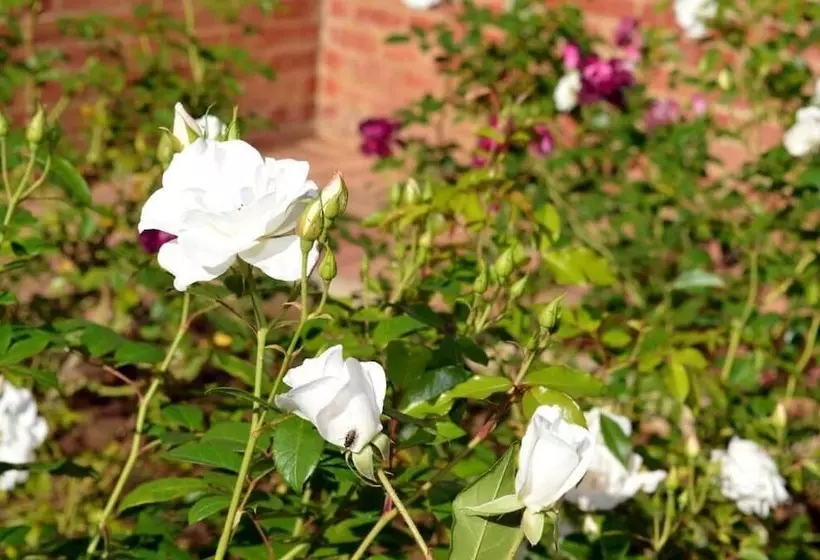 پانسیون Village Lodge Harrismith