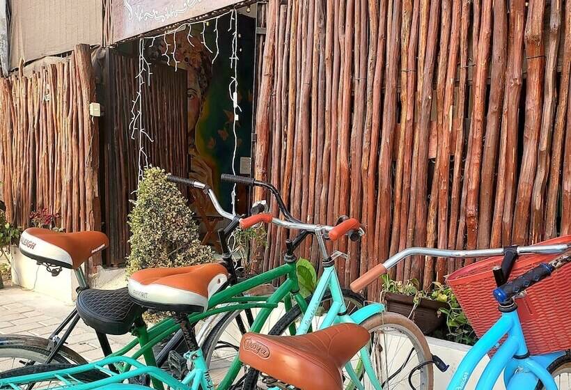 هاستل La Casona