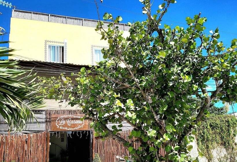 هاستل La Casona