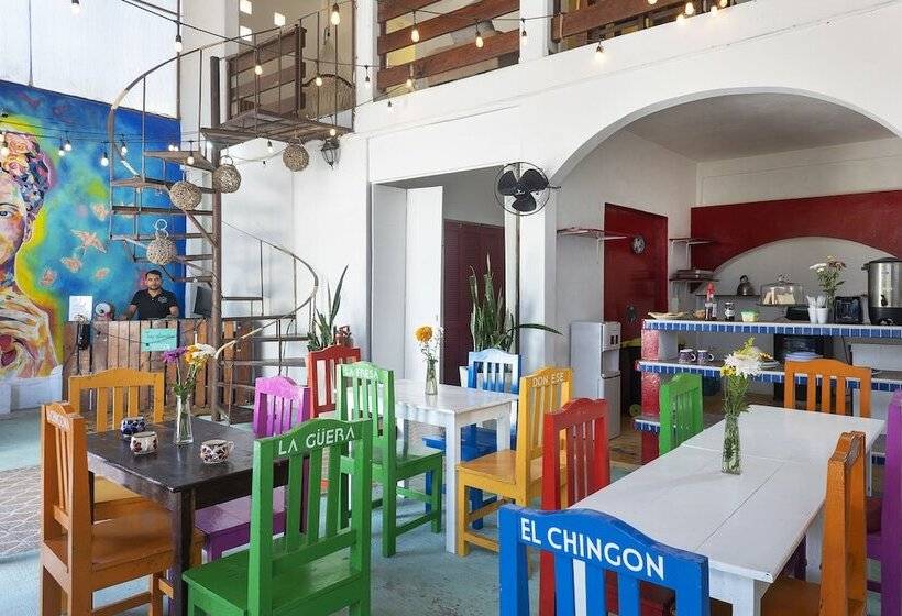 هاستل La Casona