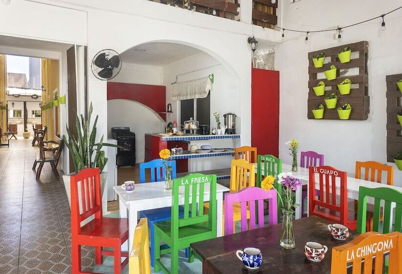 هاستل La Casona