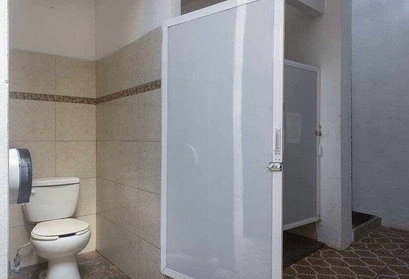 هاستل La Casona