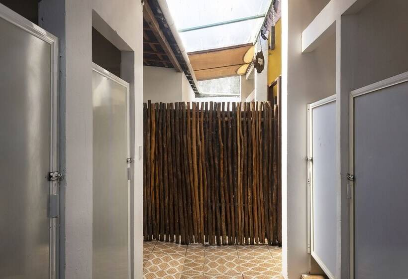 هاستل La Casona