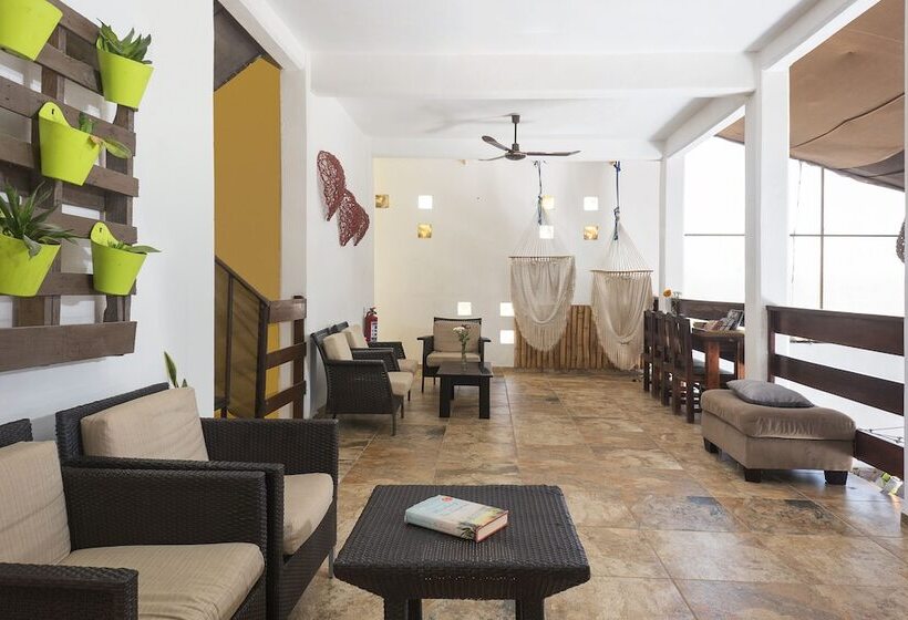 هاستل La Casona