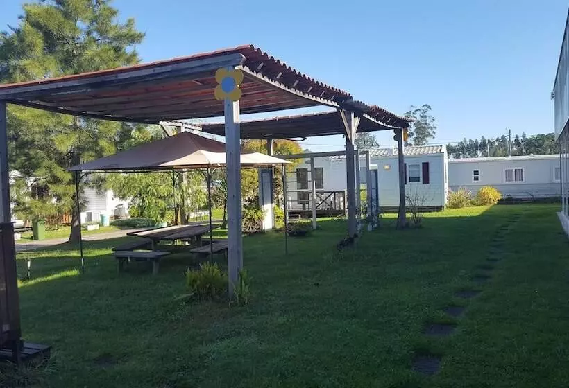 ホテル Casinhas Do Alentejano   Lands House Bungalows