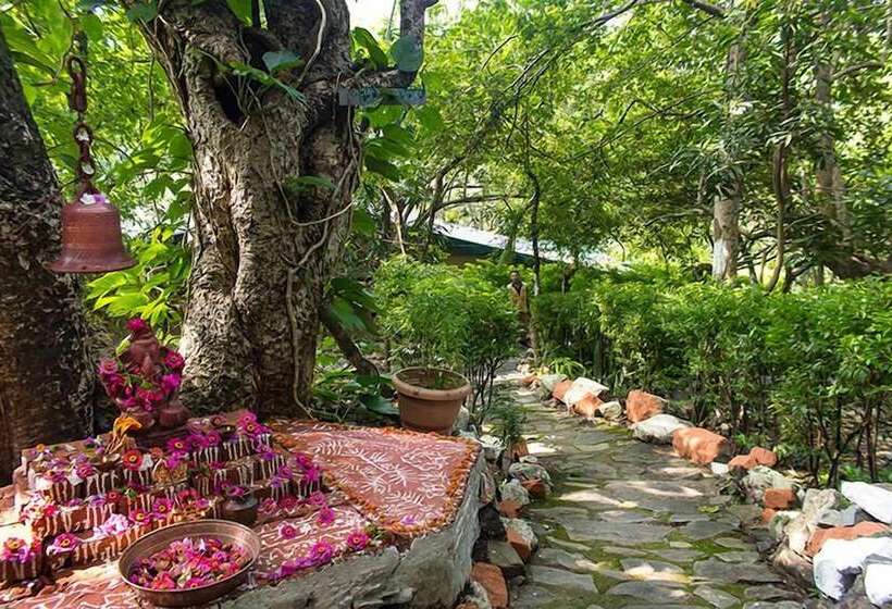 هتل Call Of The Wild