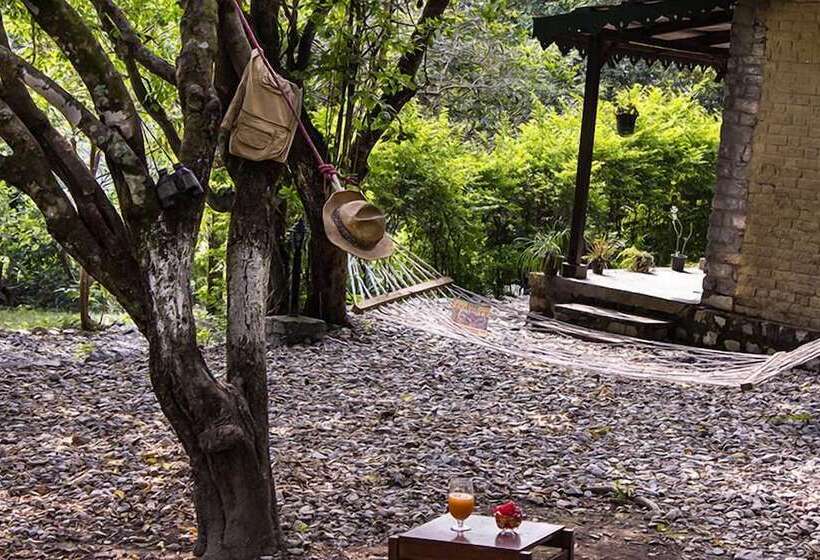 هتل Call Of The Wild