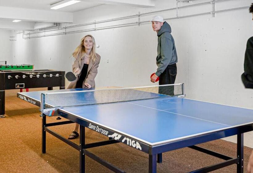 ホテル Danhostel Nørresundby Skansen