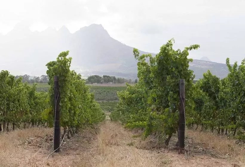 Majatalo Klein Welmoed Luxury Guest House