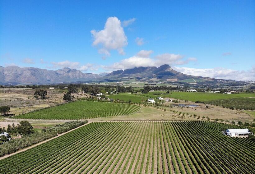 بنسيون Klein Welmoed Luxury Guest House