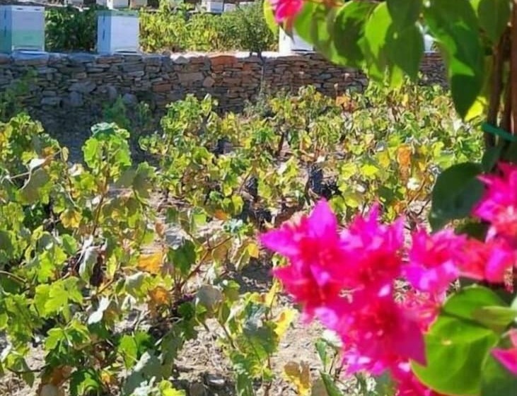 膳宿费 La Maison Vert Amande