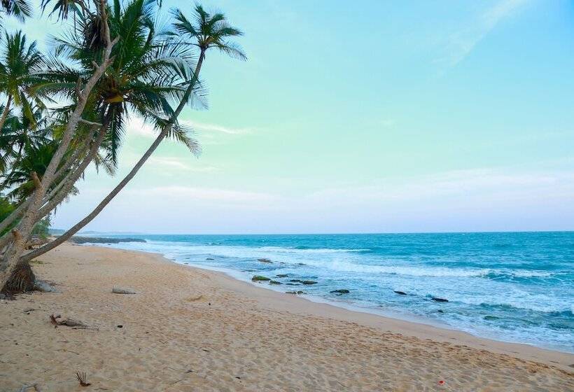 膳宿费 Sunray Beach House