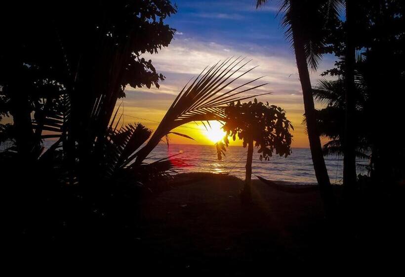 膳宿费 Sunray Beach House