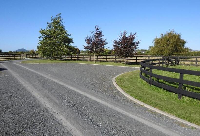 Grasslands Bed & Breakfast