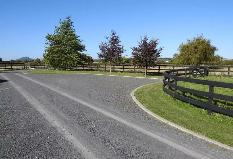 Grasslands Bed & Breakfast