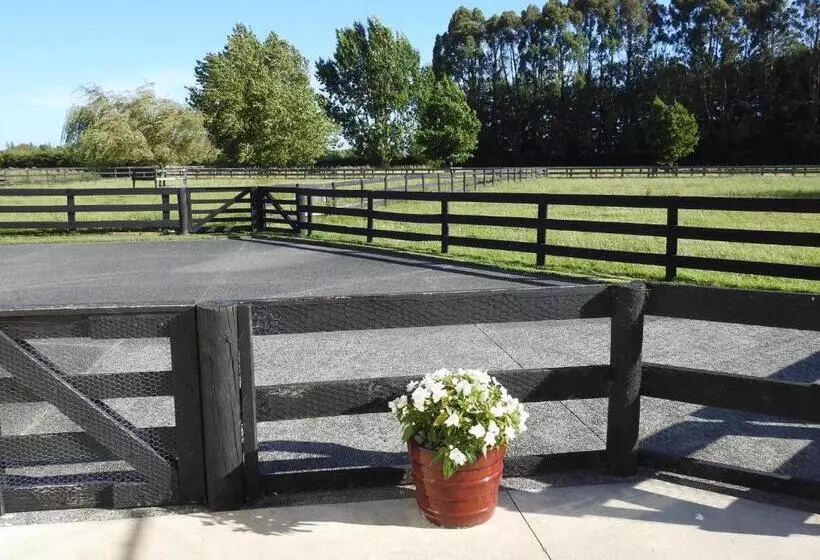 Grasslands Bed & Breakfast