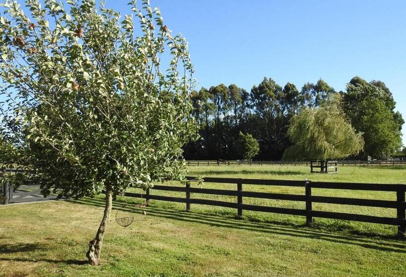 Grasslands Bed & Breakfast