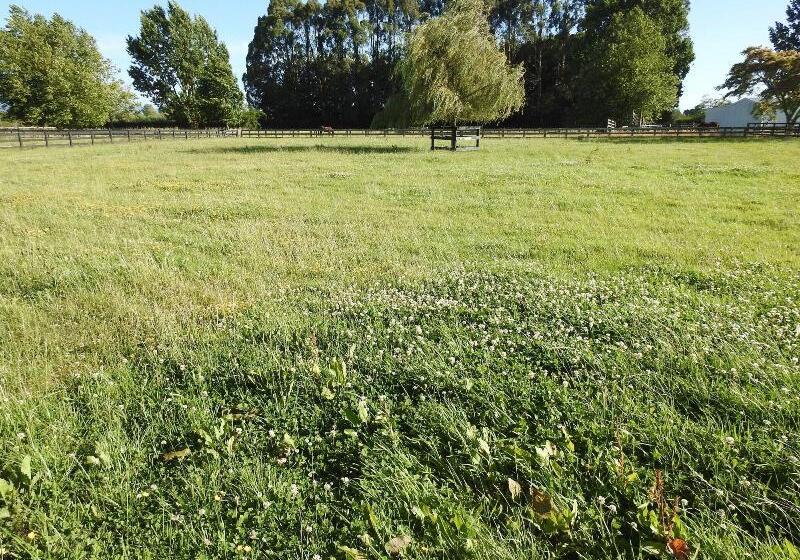 Grasslands Bed & Breakfast